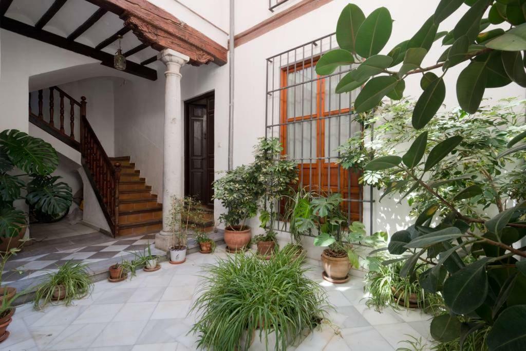 Stunning Alhambra View Balconies, In The Albayzin Apartment Granada Ngoại thất bức ảnh
